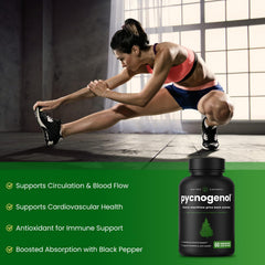Front label of NutraChamps Pycnogenol bottle