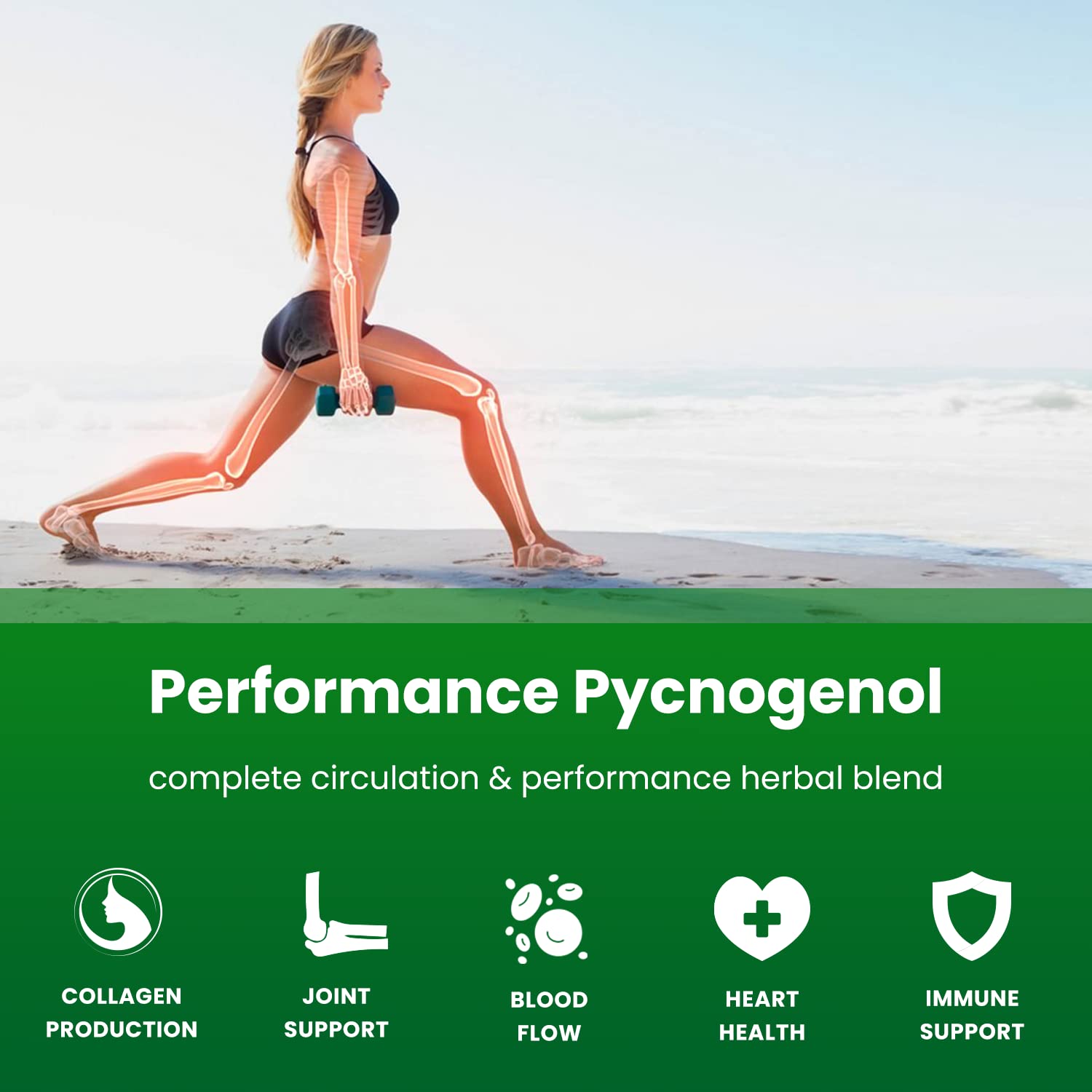 Capsules of Pycnogenol supplement with black pepper for enhanced absorption