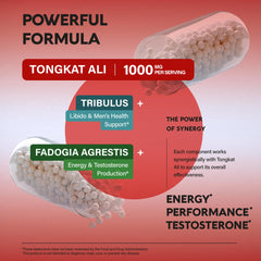 NutraHarmony packaging box and bottle
