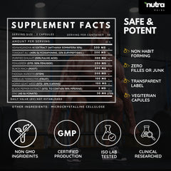GMP-certified facility illustration