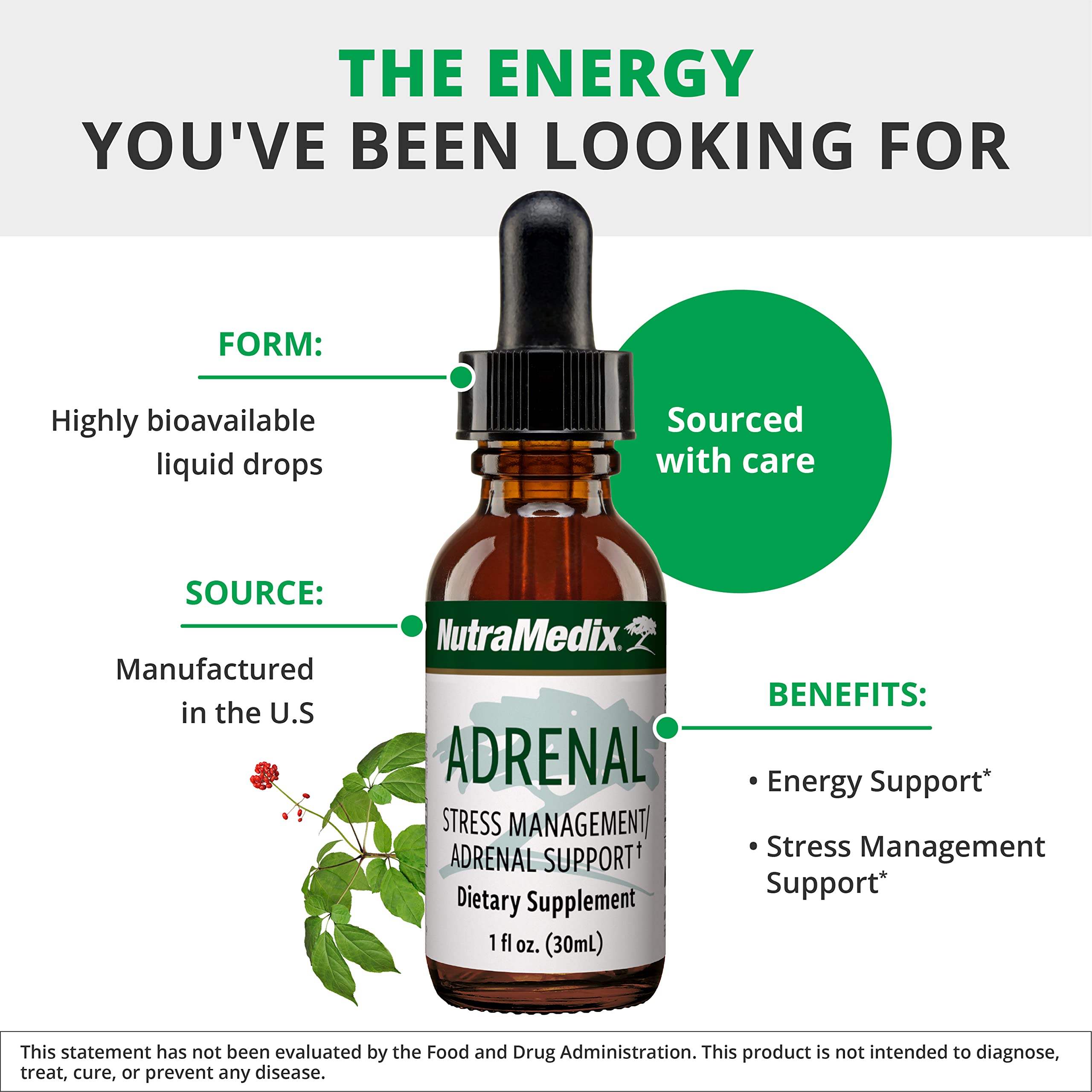 Schisandra and Ginseng extracts display