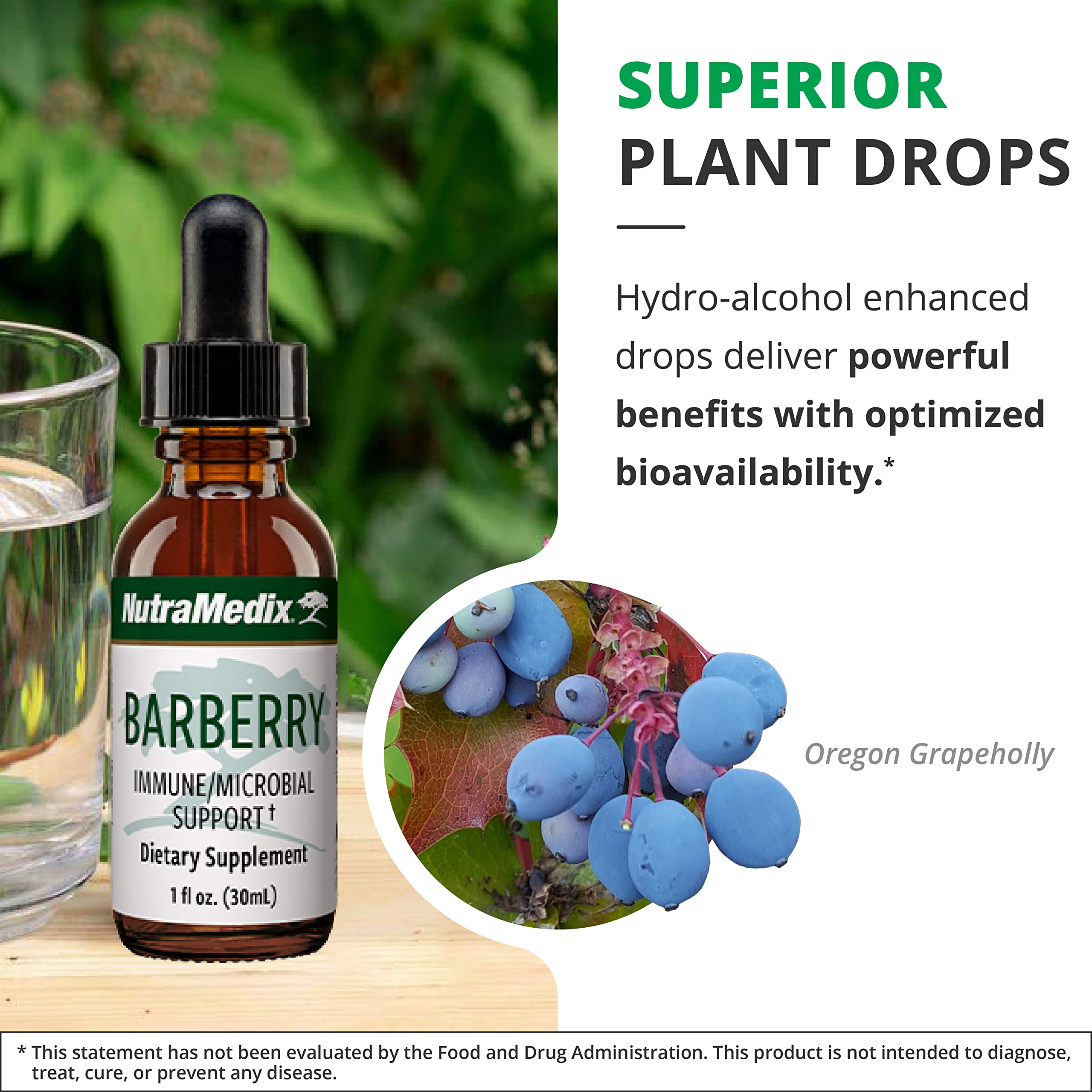 Synergistic health support with Barberry and NutraMedix products