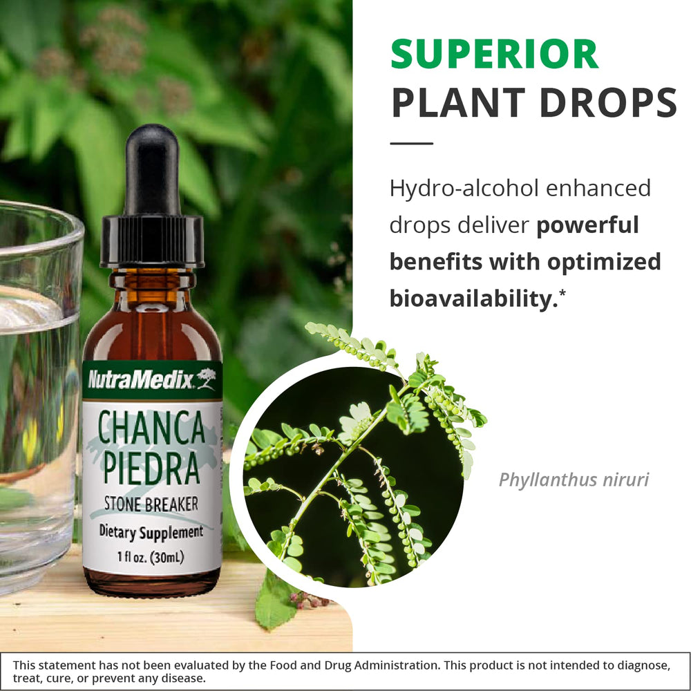 Ingredients visual for Chanca Piedra liquid drops