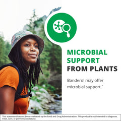 Amazon harvest source for NutraMedix immune support