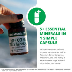 Mineral highlights: Magnesium, Zinc, Potassium, Boron, Phosphorus, Manganese