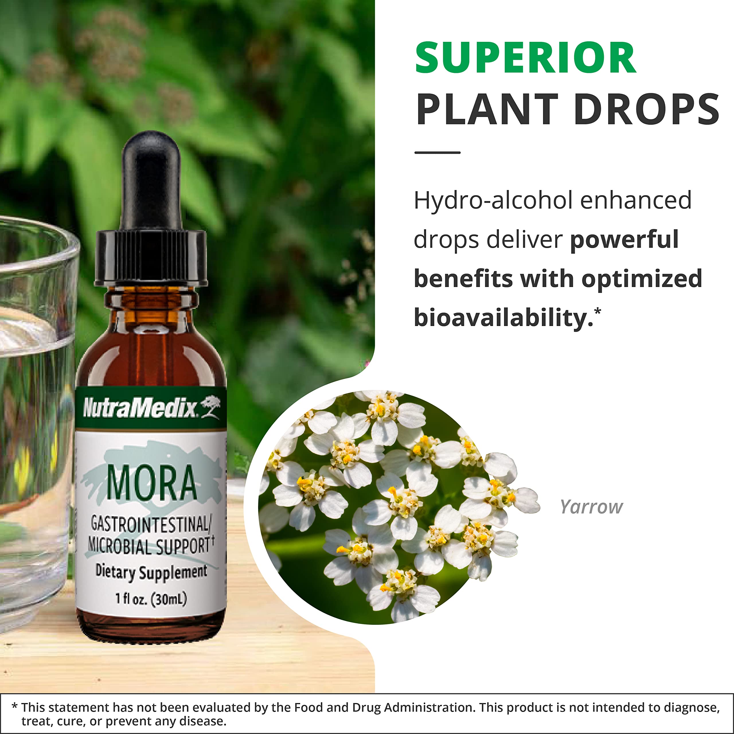 Leaves, bark and flowers of ingredients used in Mora Yarrow Extract