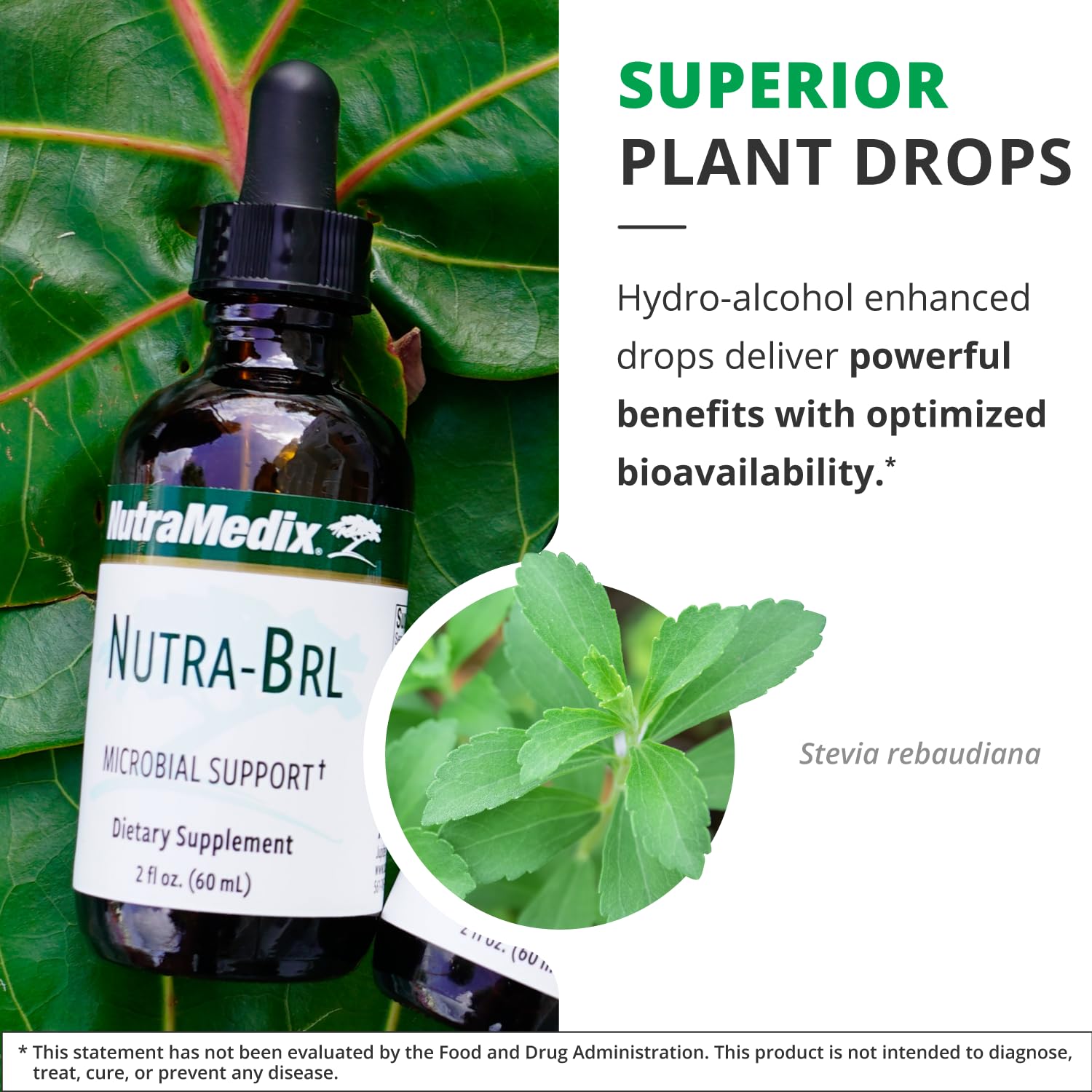 Graphic illustration of Samento and Banderol ingredients