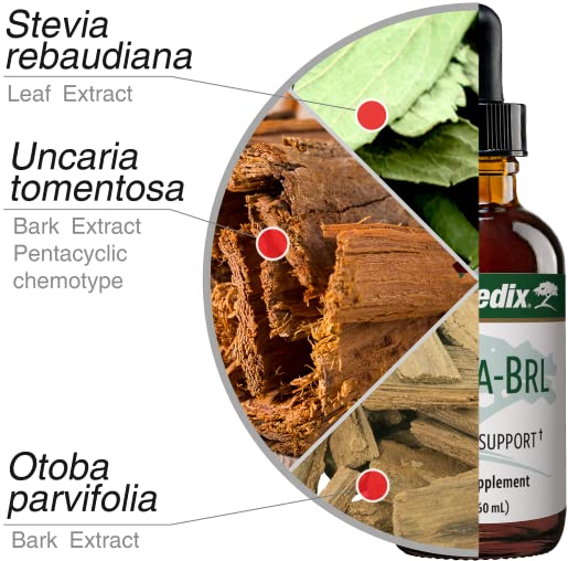 Nutra BRL production facility interior