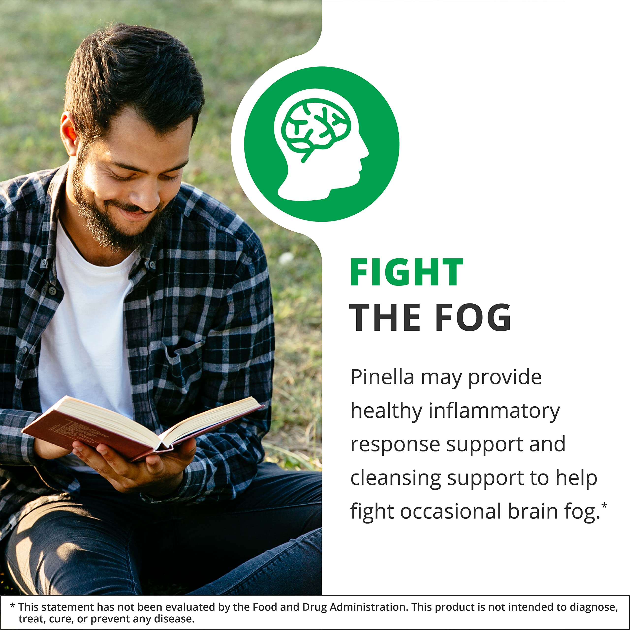 Brain health supplement with Pimpinella Anisum