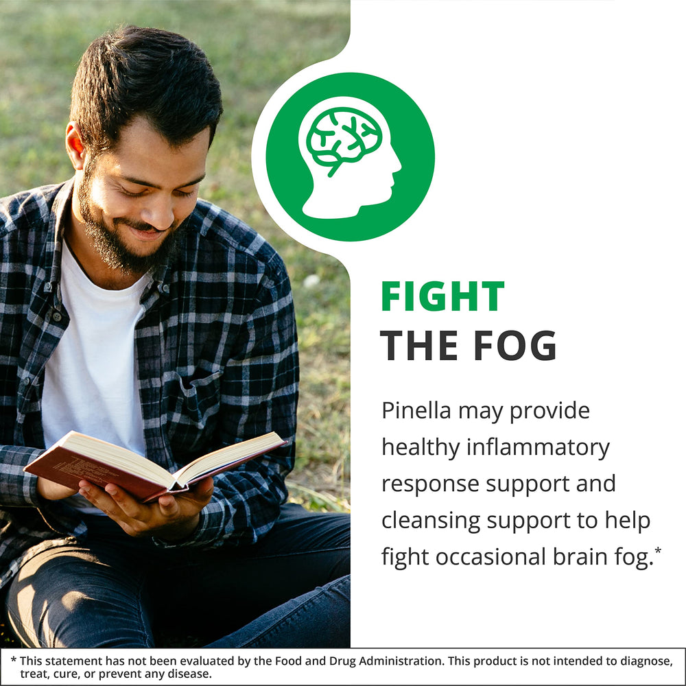 Brain health supplement with Pimpinella Anisum