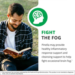 Brain health supplement with Pimpinella Anisum