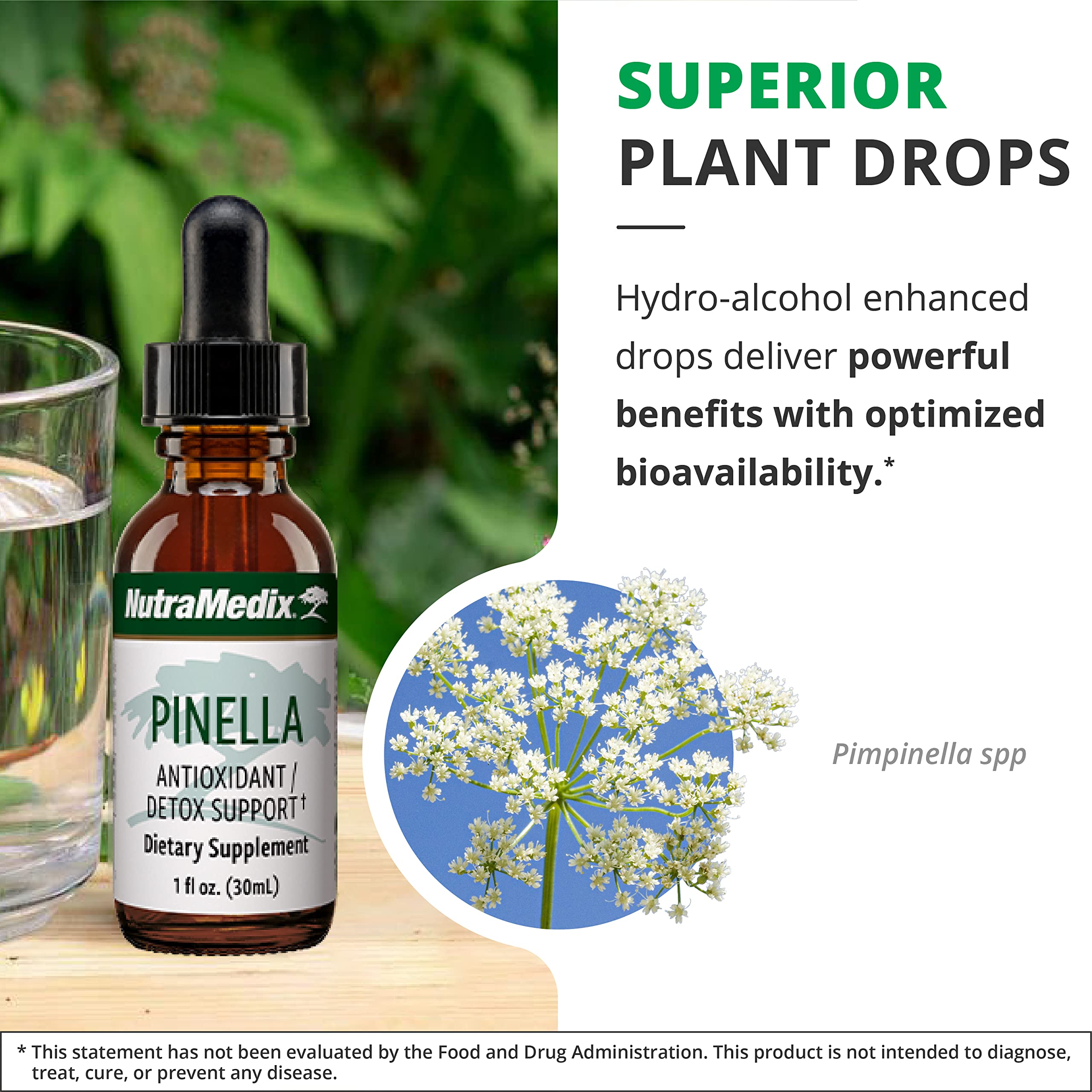 Pinella drops promoting focus and concentration