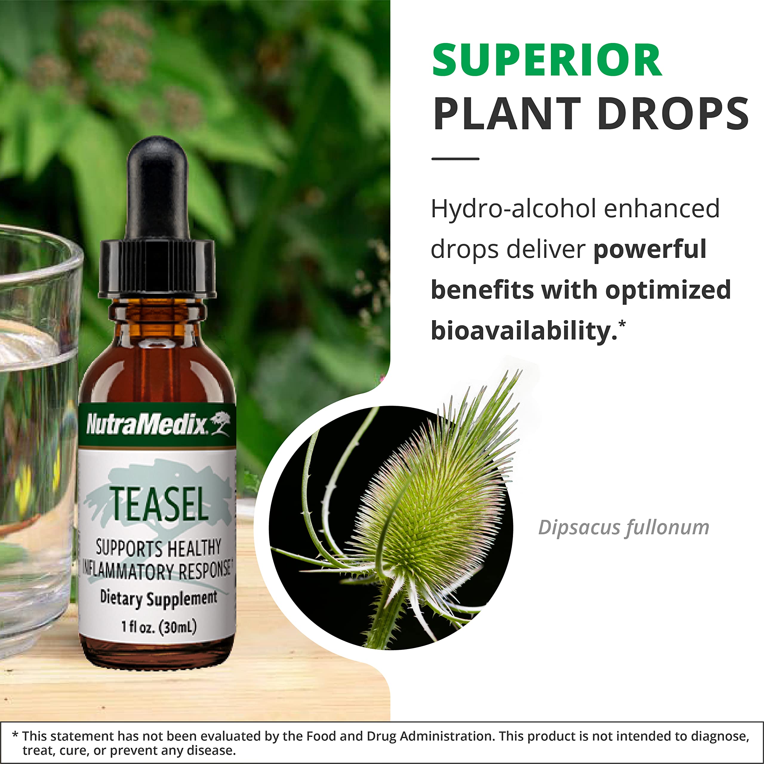 Teasel Root Wellness Drops liquid splash