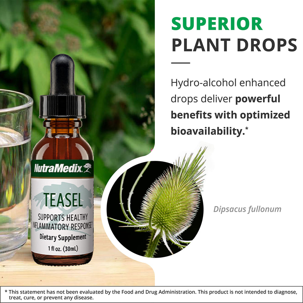 Teasel Root Wellness Drops liquid splash