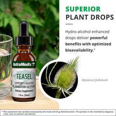 Teasel Root Wellness Drops liquid splash