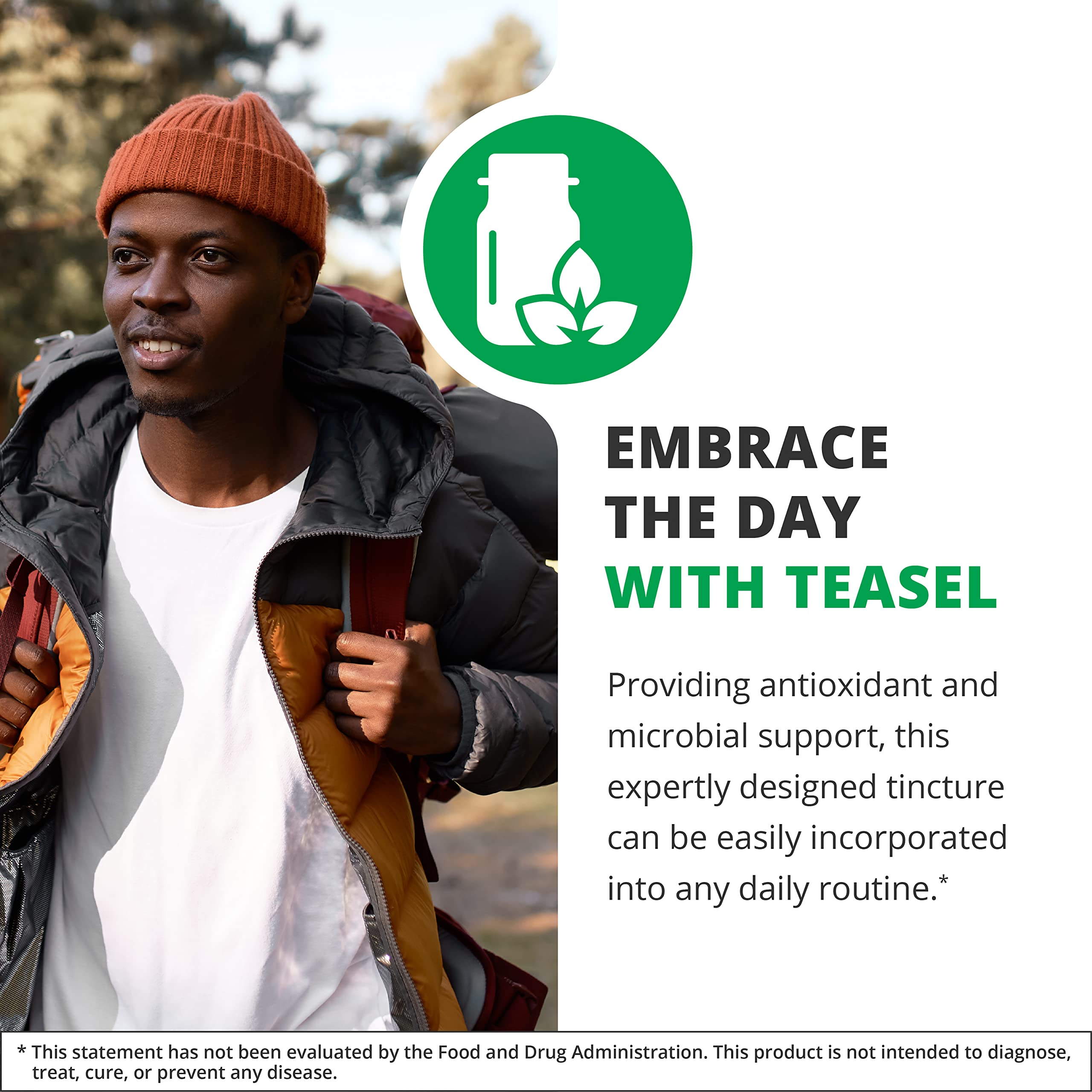 Teasel root tincture bottle displayed