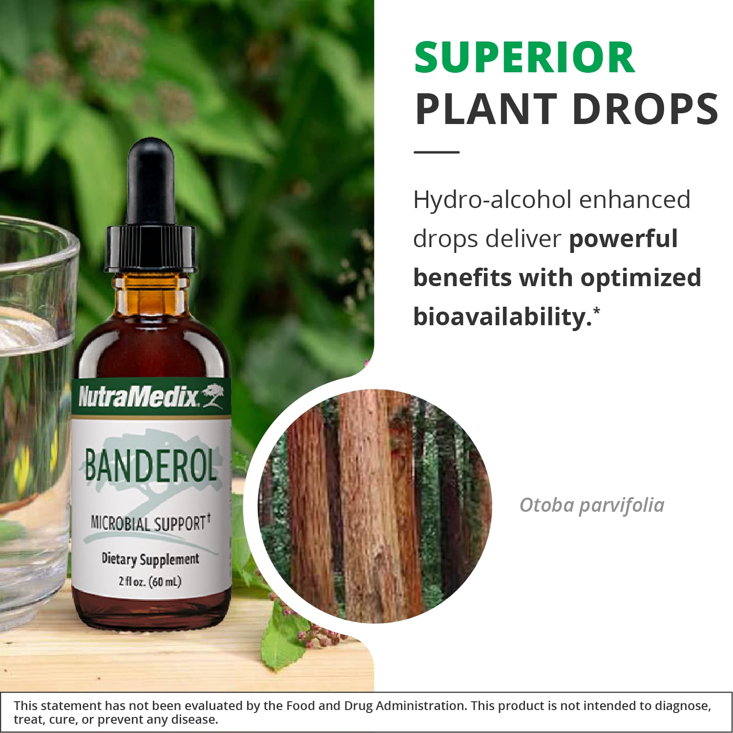 NutraMedix proprietary whole-herb extraction process illustration.