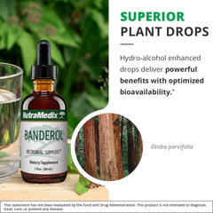 NutraMedix proprietary whole-herb extraction process illustration.