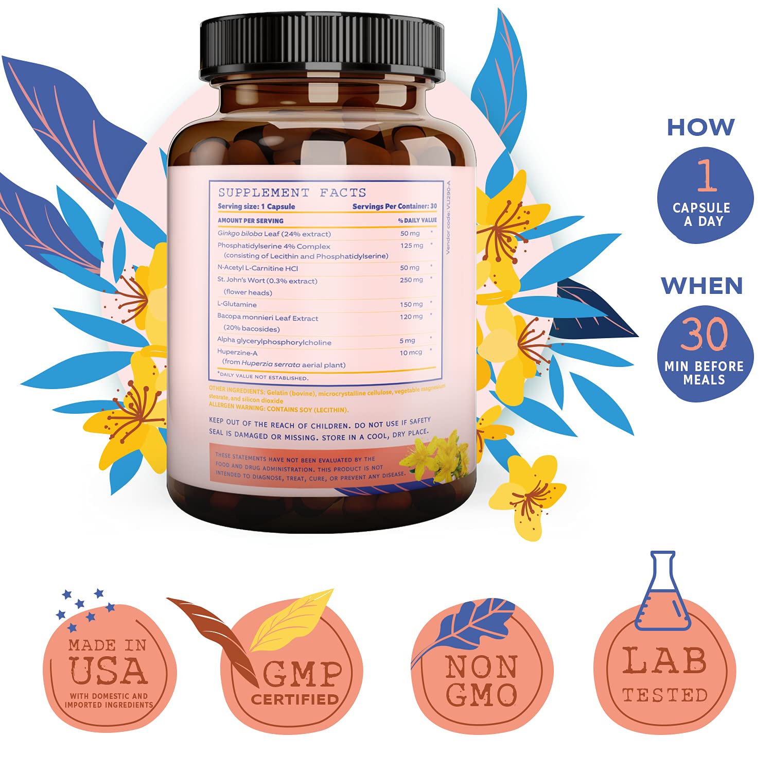 Close-up of ingredients: Ginkgo Biloba, Bacopa Monnieri, St. John’s Wort