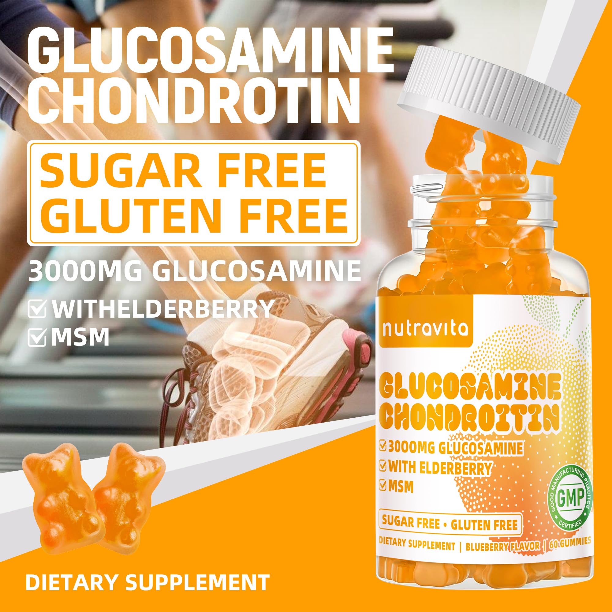Glucosamine Chondroitin MSM and Elderberry supplement ingredients