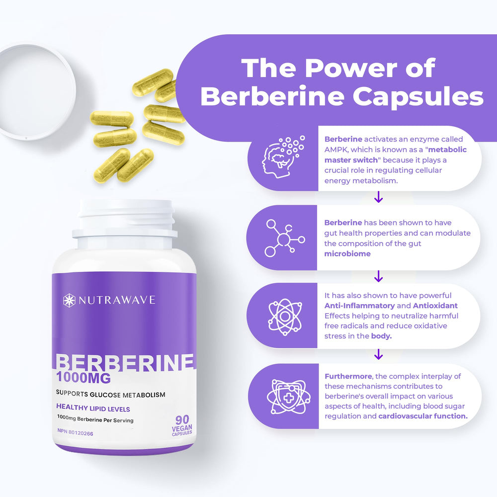 Berberine capsules with non-GMO and vegan labels