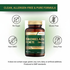 Probiotics and gut health concept for Nutraxin Bromelain Forte