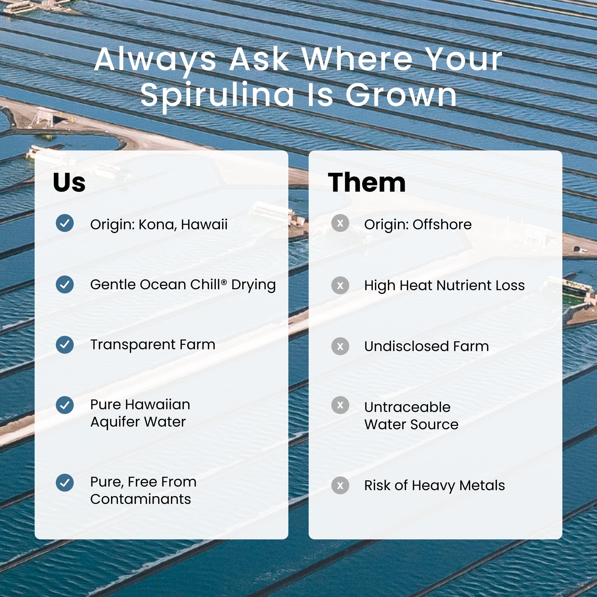 Energy and vitality from Spirulina 500 mg