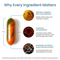 BioPerine Black Pepper extract symbol