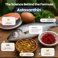 IFOS-certified MEG-3 fish oil purity label