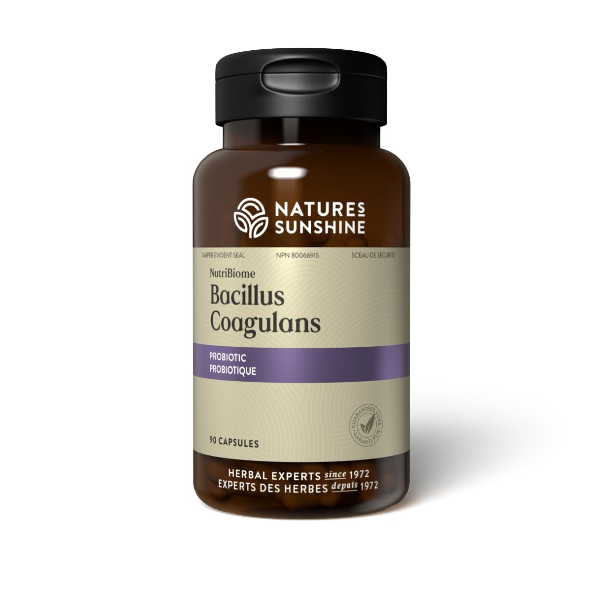 Nutribiome Bacillus Coagulans Probiotics bottle - 90 capsules, 3 Billion CFU