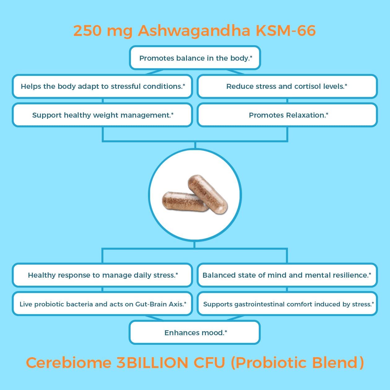 Illustration of brain-gut axis with probiotic capsules