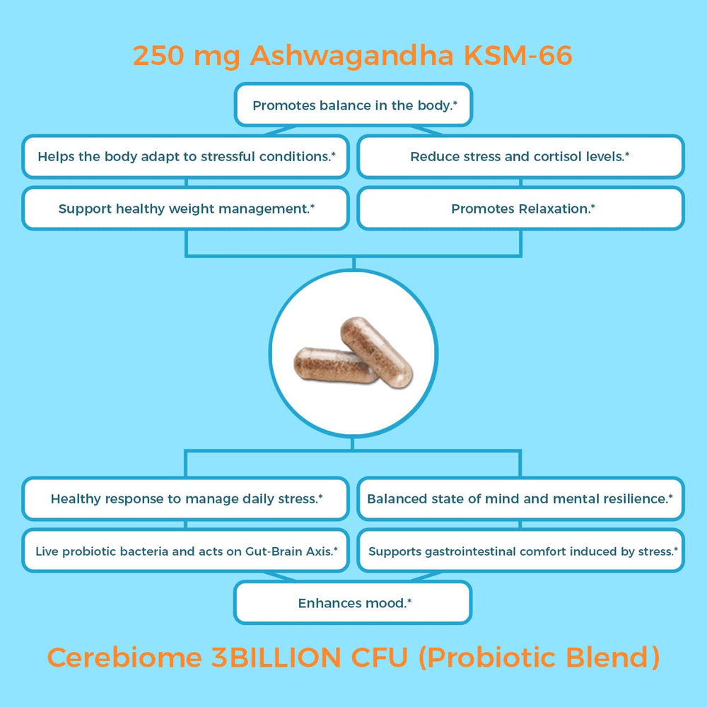 Illustration of brain-gut axis with probiotic capsules