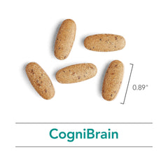 90 count vegetarian capsule bottle of Nutricology Cognibrain