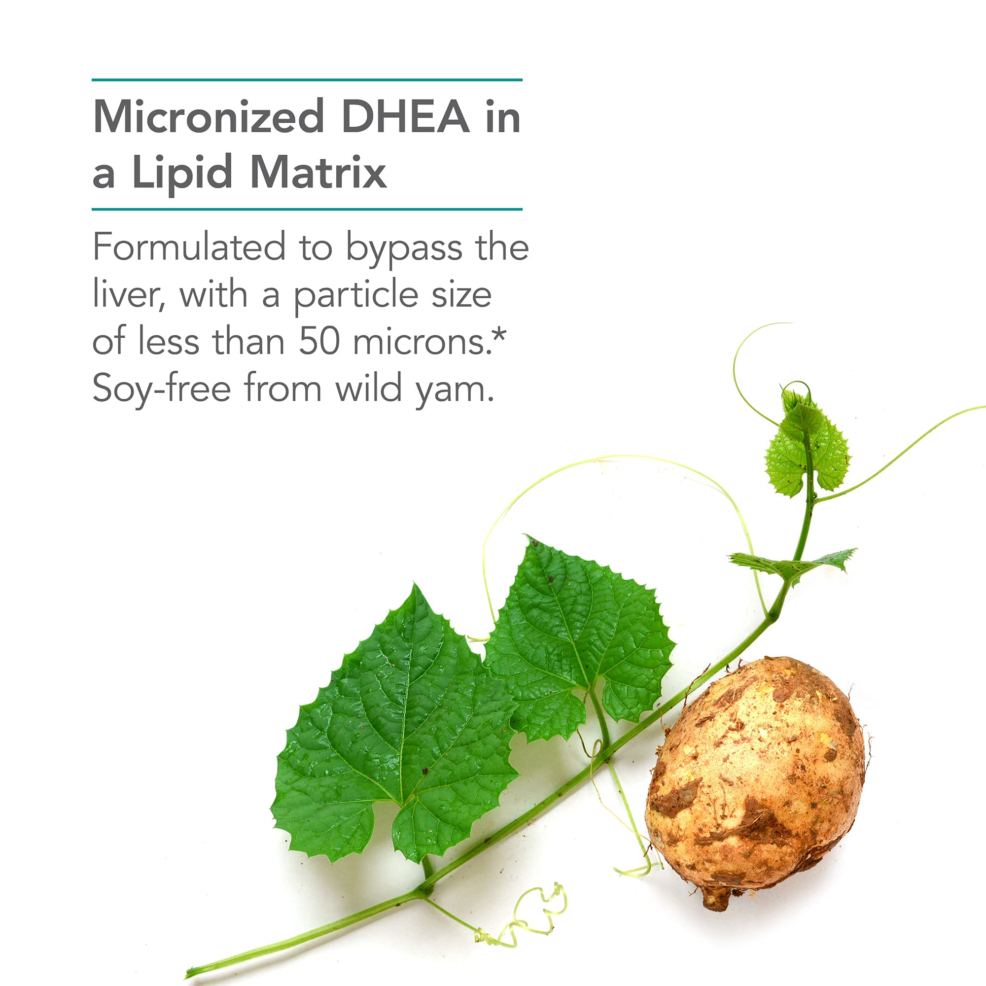 Hypoallergenic dietary supplement statement on Nutricology label