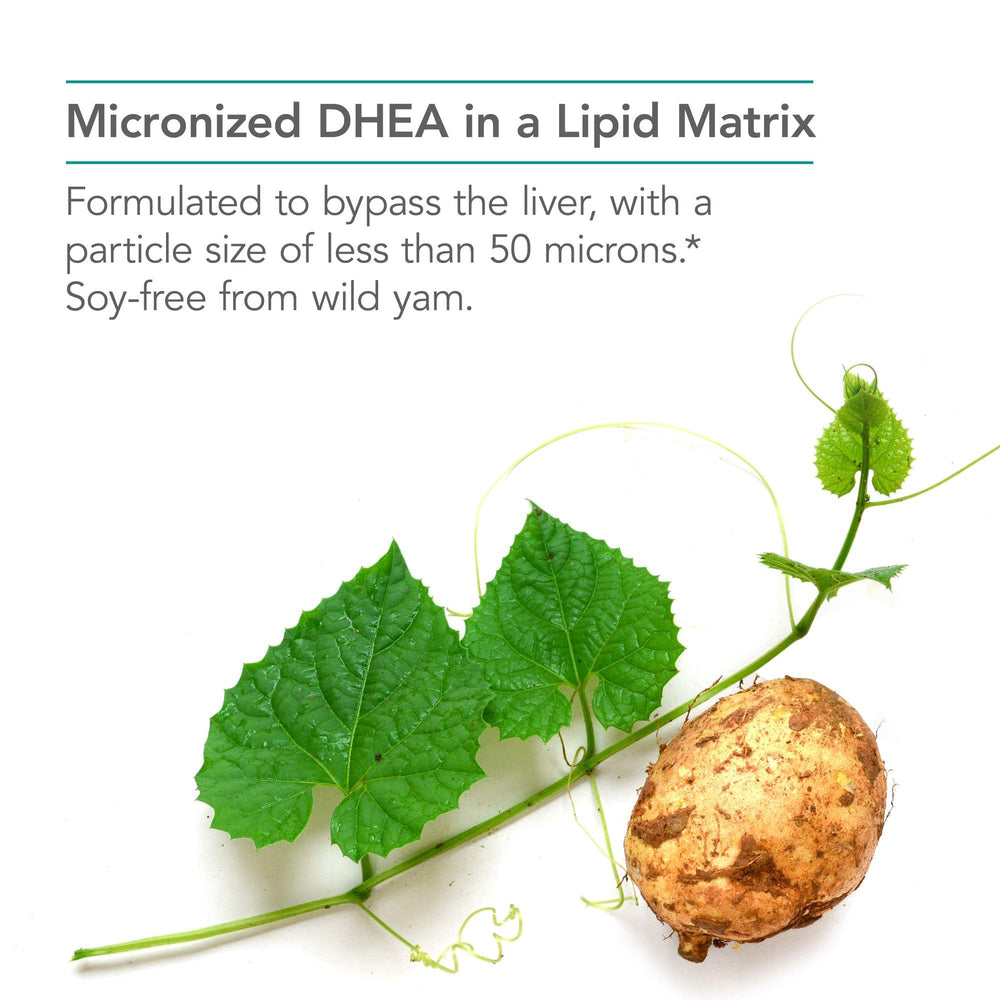 Soy-free DHEA supplement derived from wild yam