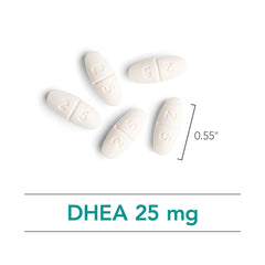 Usage directions for women and men for DHEA tablets