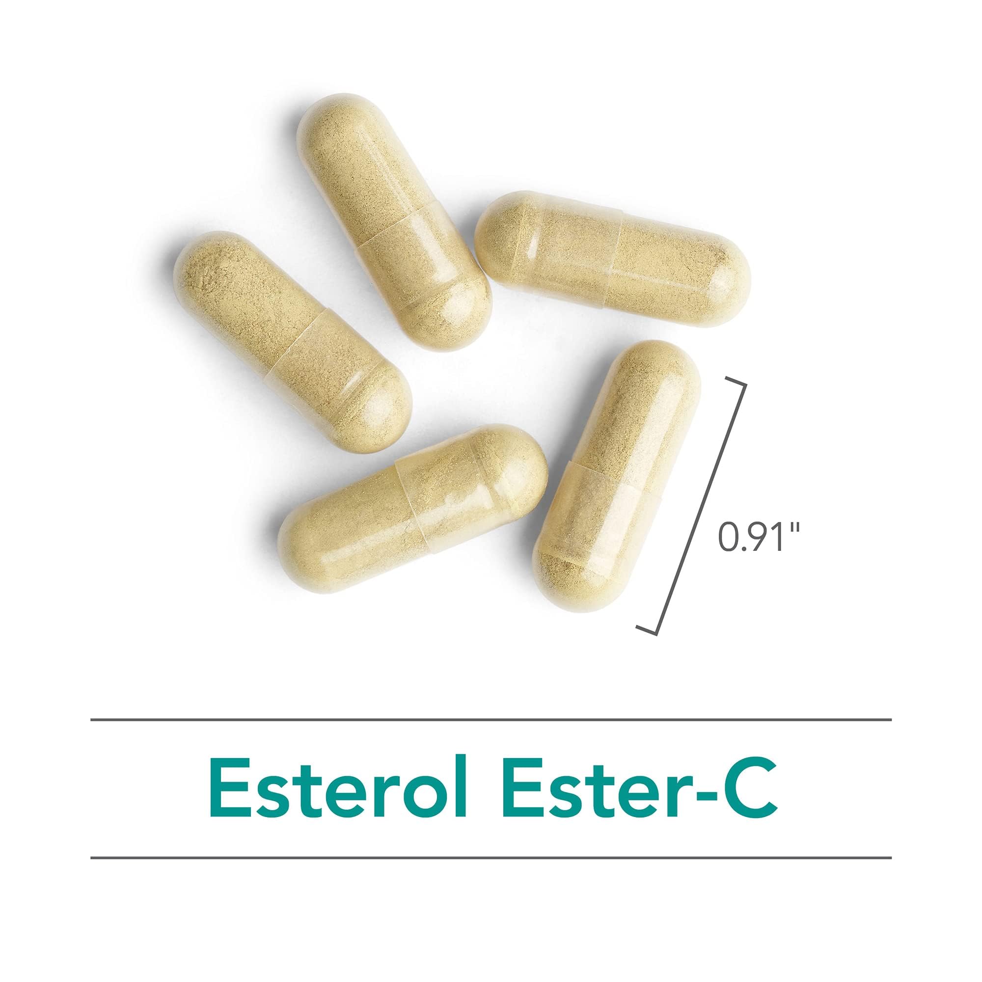 Quercetin and rutin ingredients highlighted in Ester-C formula