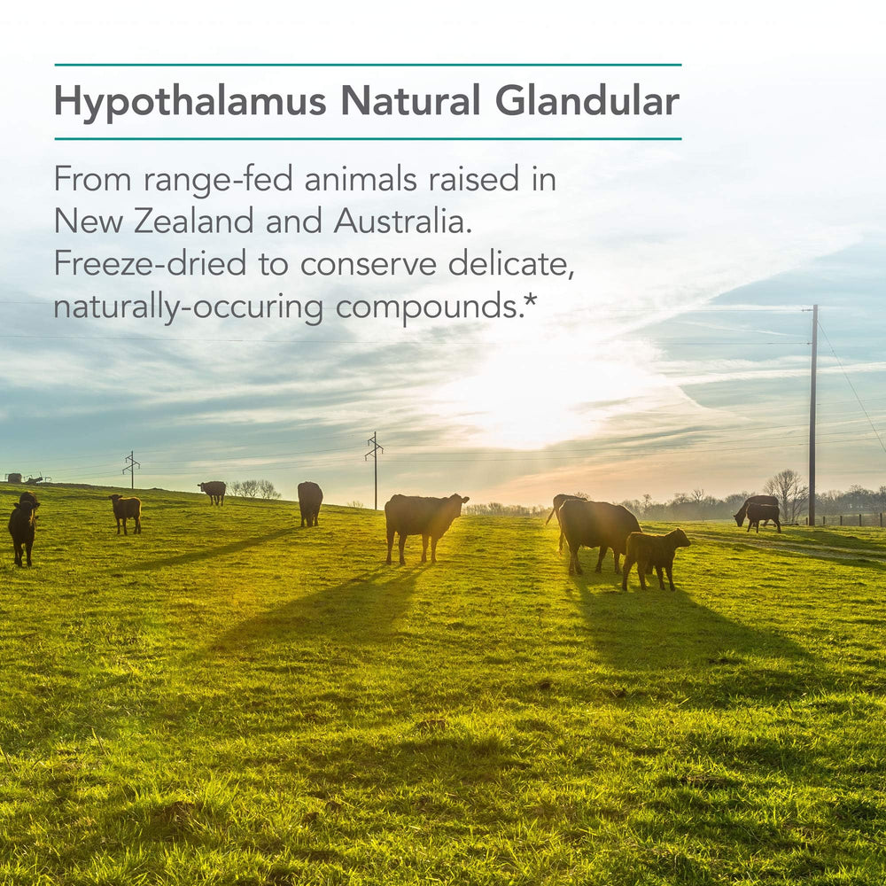 Glandular supplement ingredients sourced from bovine origin