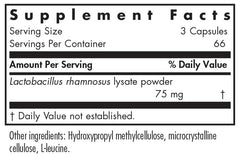 Lactobacillus Rhamnosus Lysate Probiotic Source for ImmunoBiotic Pro