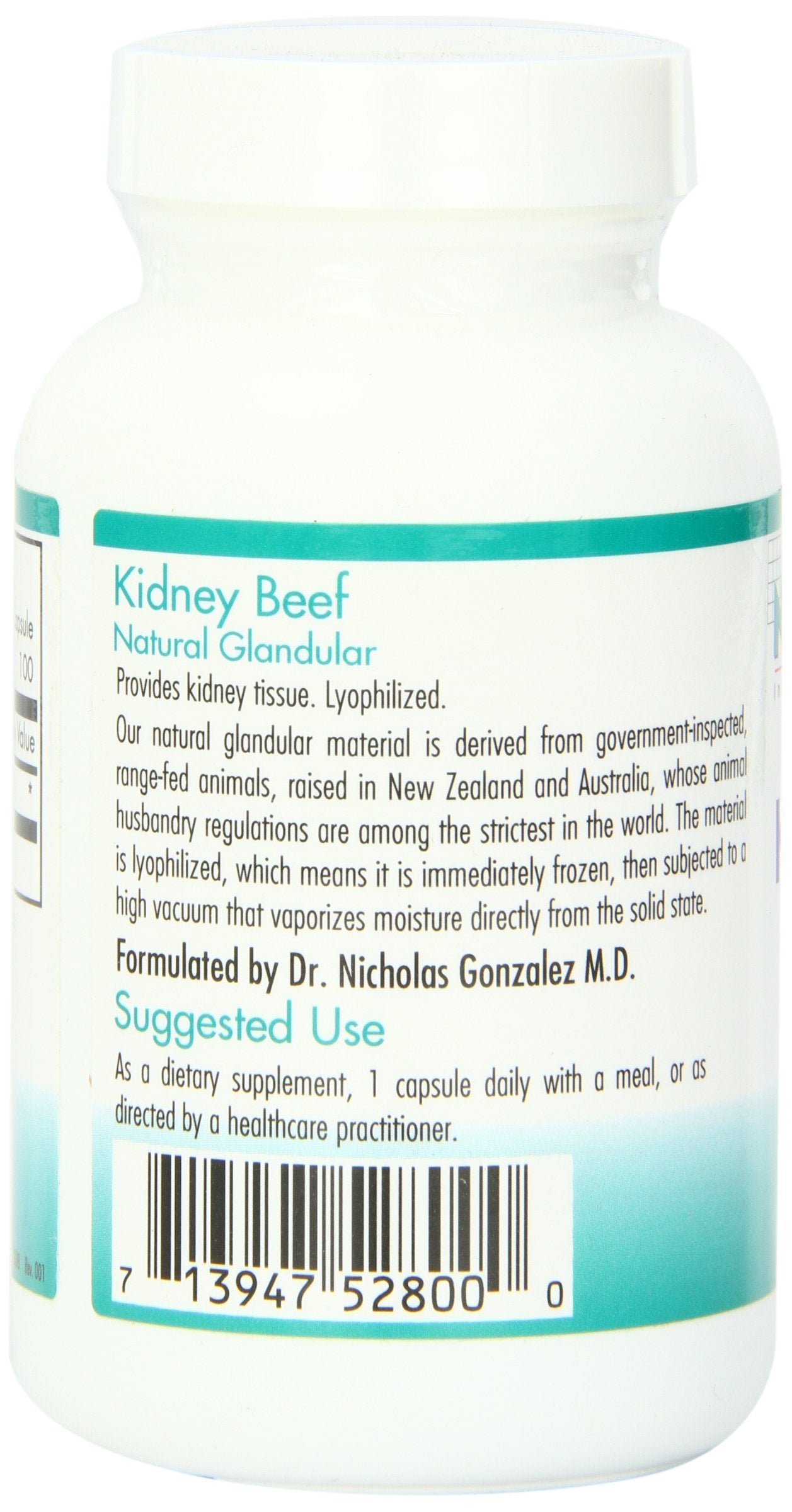 Graphic illustration of glandular tissue and kidney