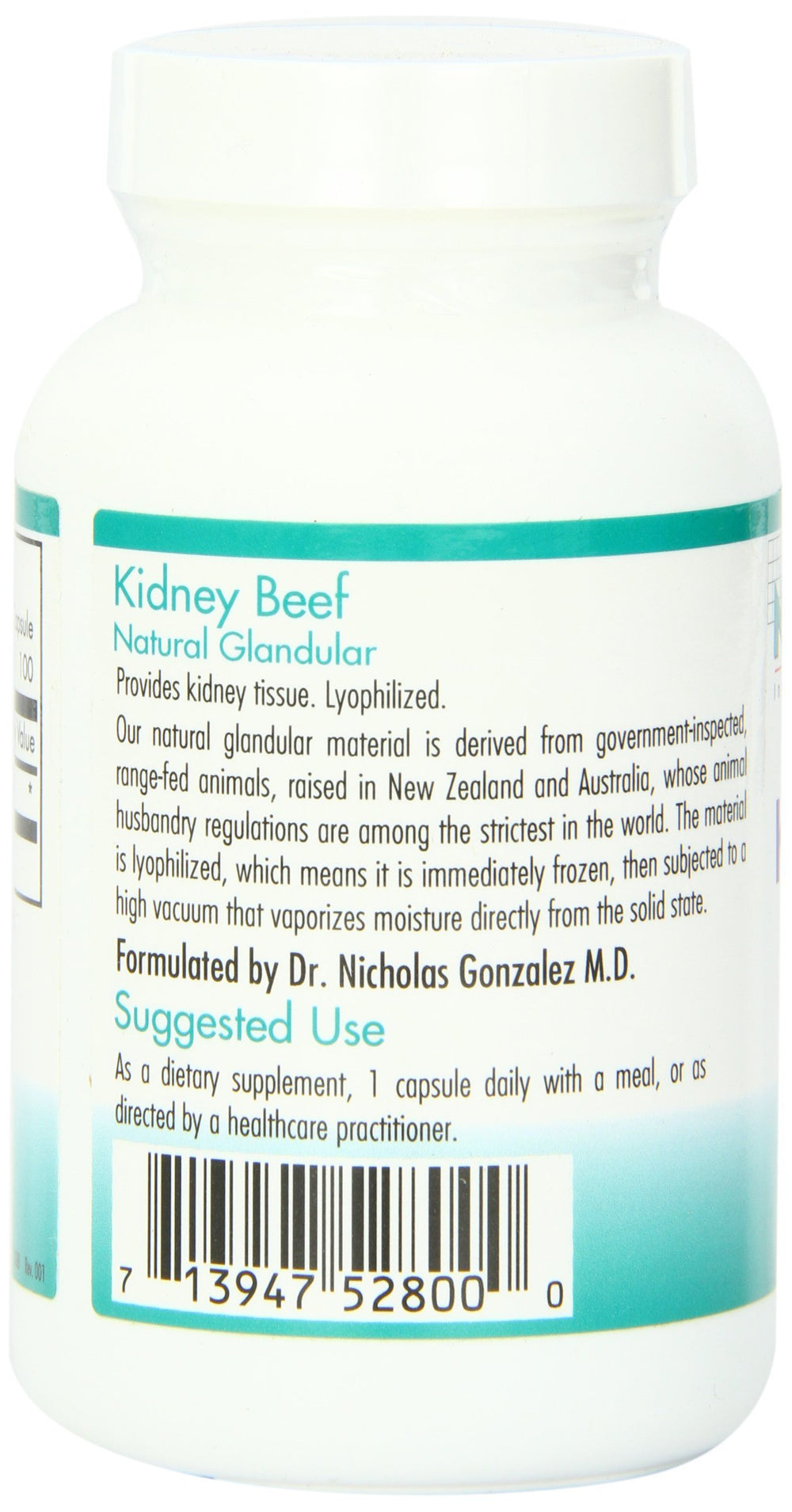 Graphic illustration of glandular tissue and kidney