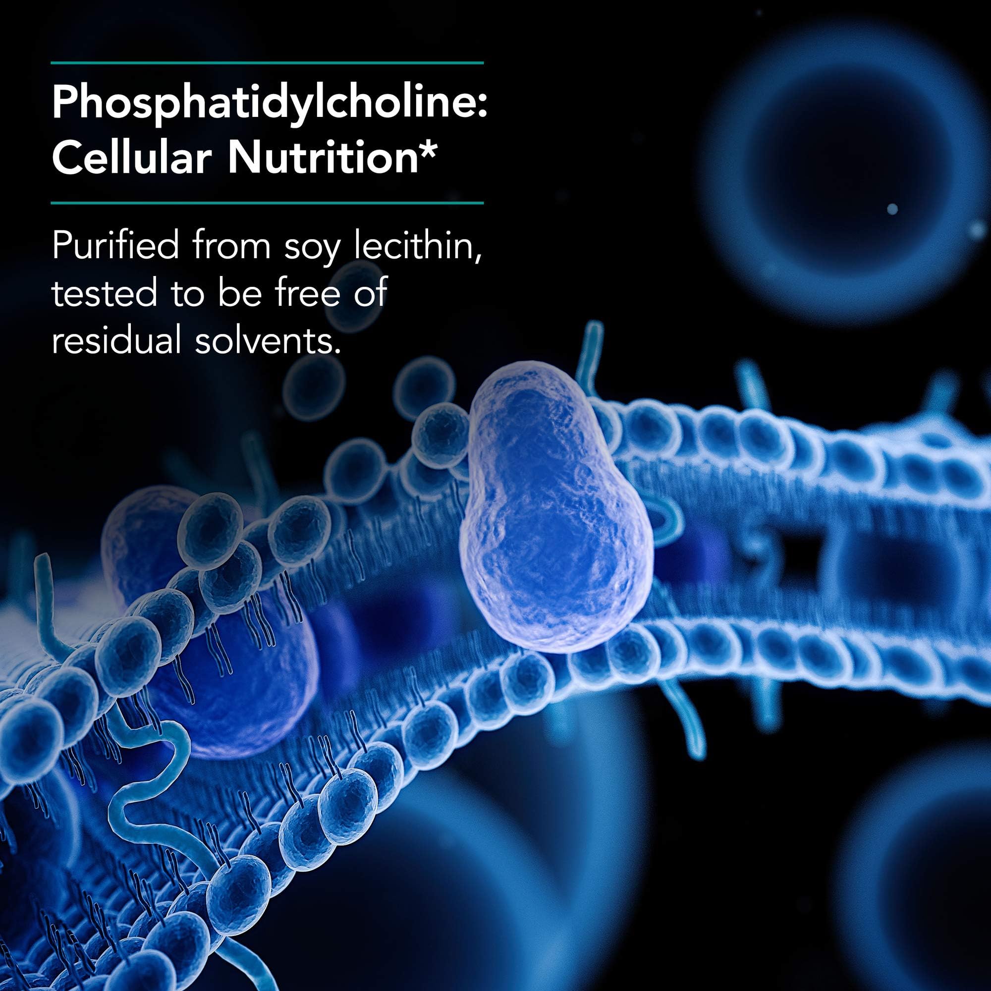 Phosphatidylcholine softgels, lecithin capsules for fat digestion