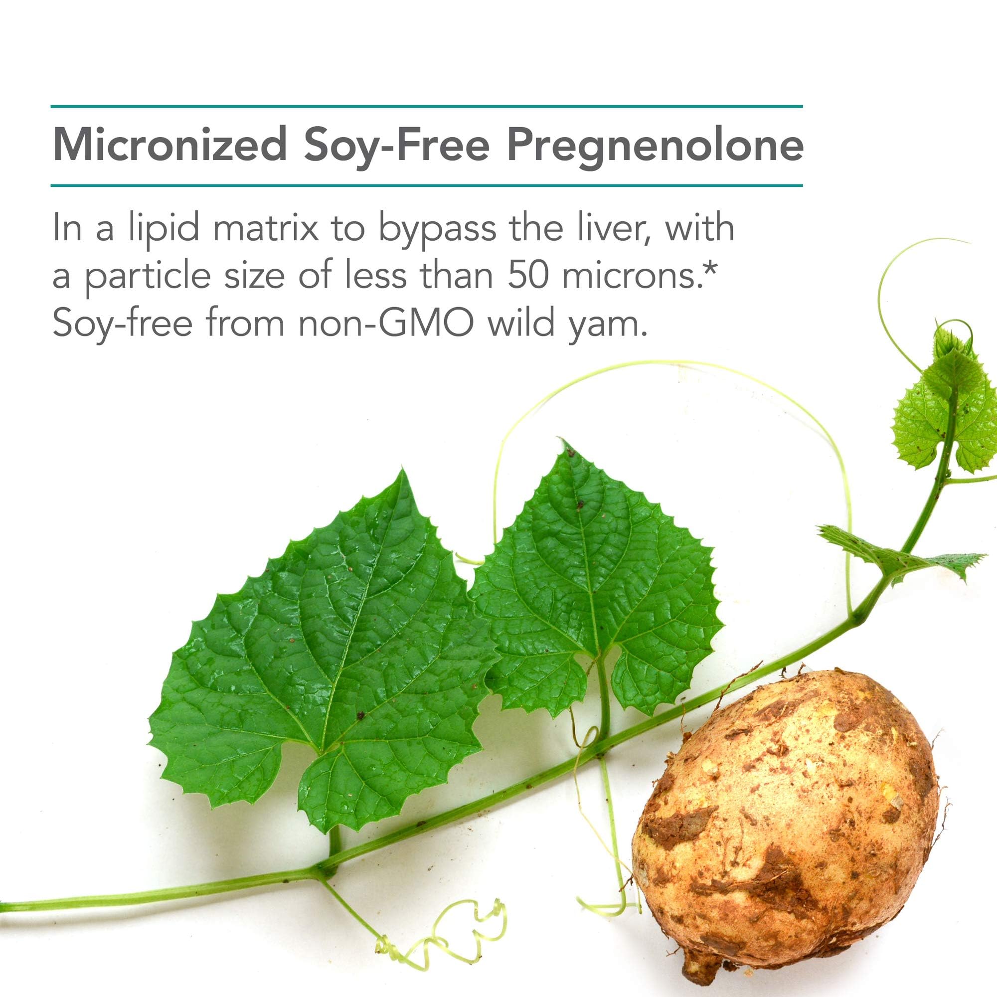 Micronized lipid matrix technology depiction