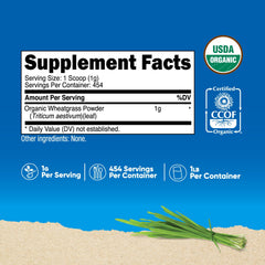 Close-up of Pure Organic Wheatgrass Powder