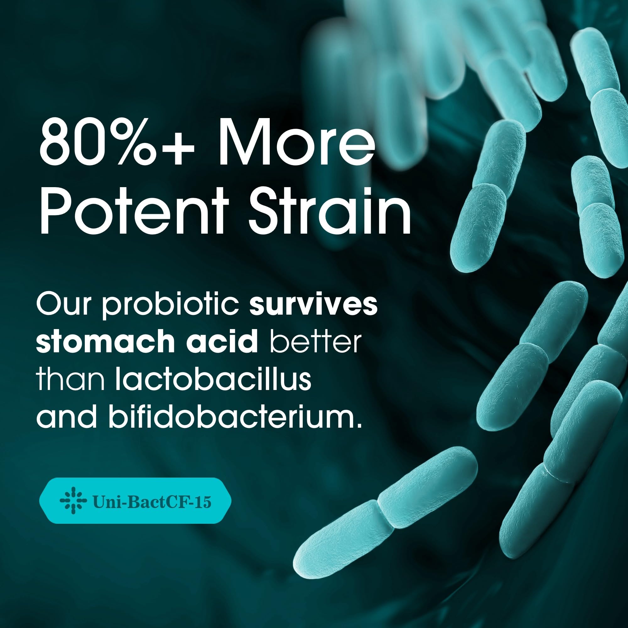 Protective recyclable PETE bottle used for probiotics