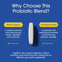 Nutrition Essentials probiotic capsules close-up ready for daily use