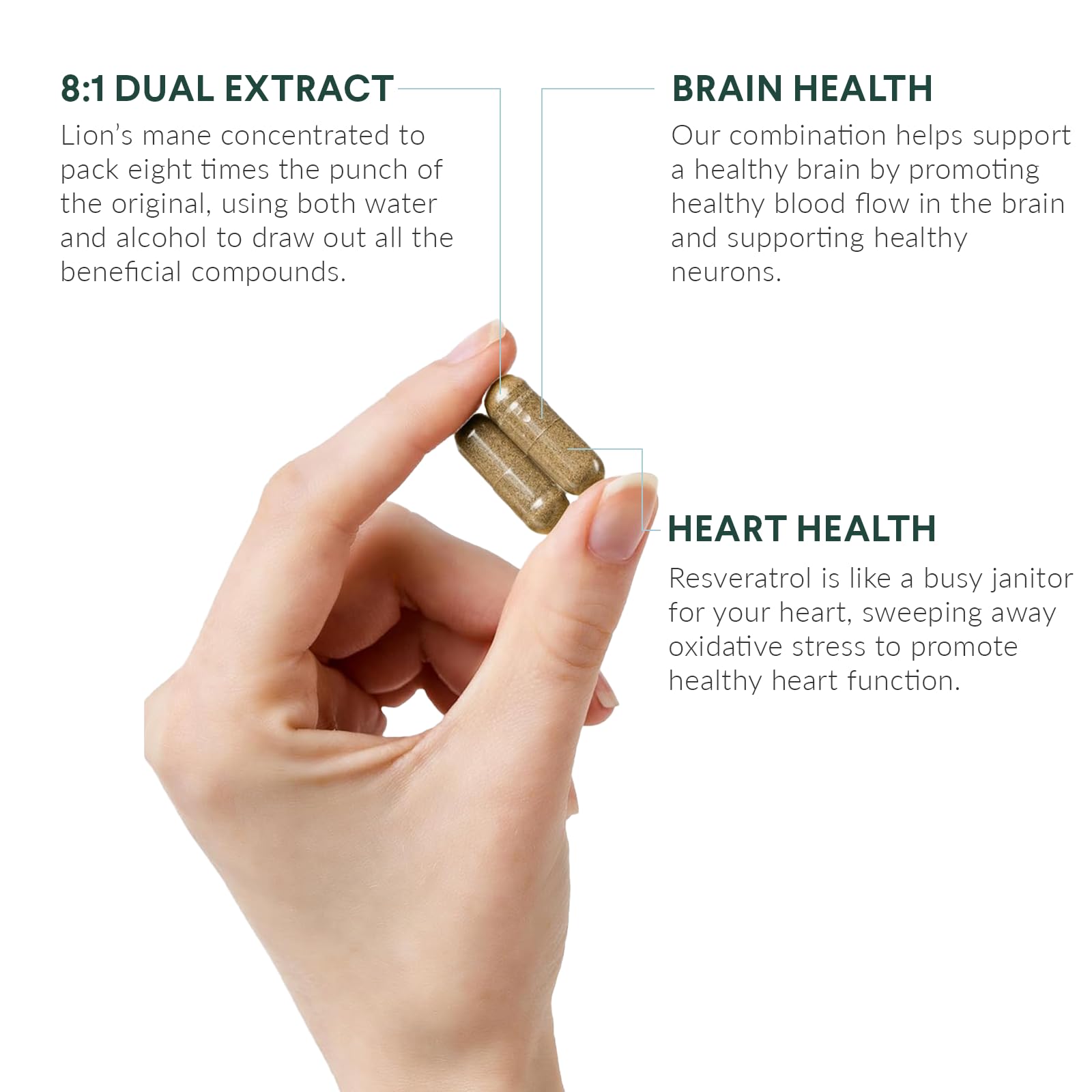Graphic showing brain and heart health support