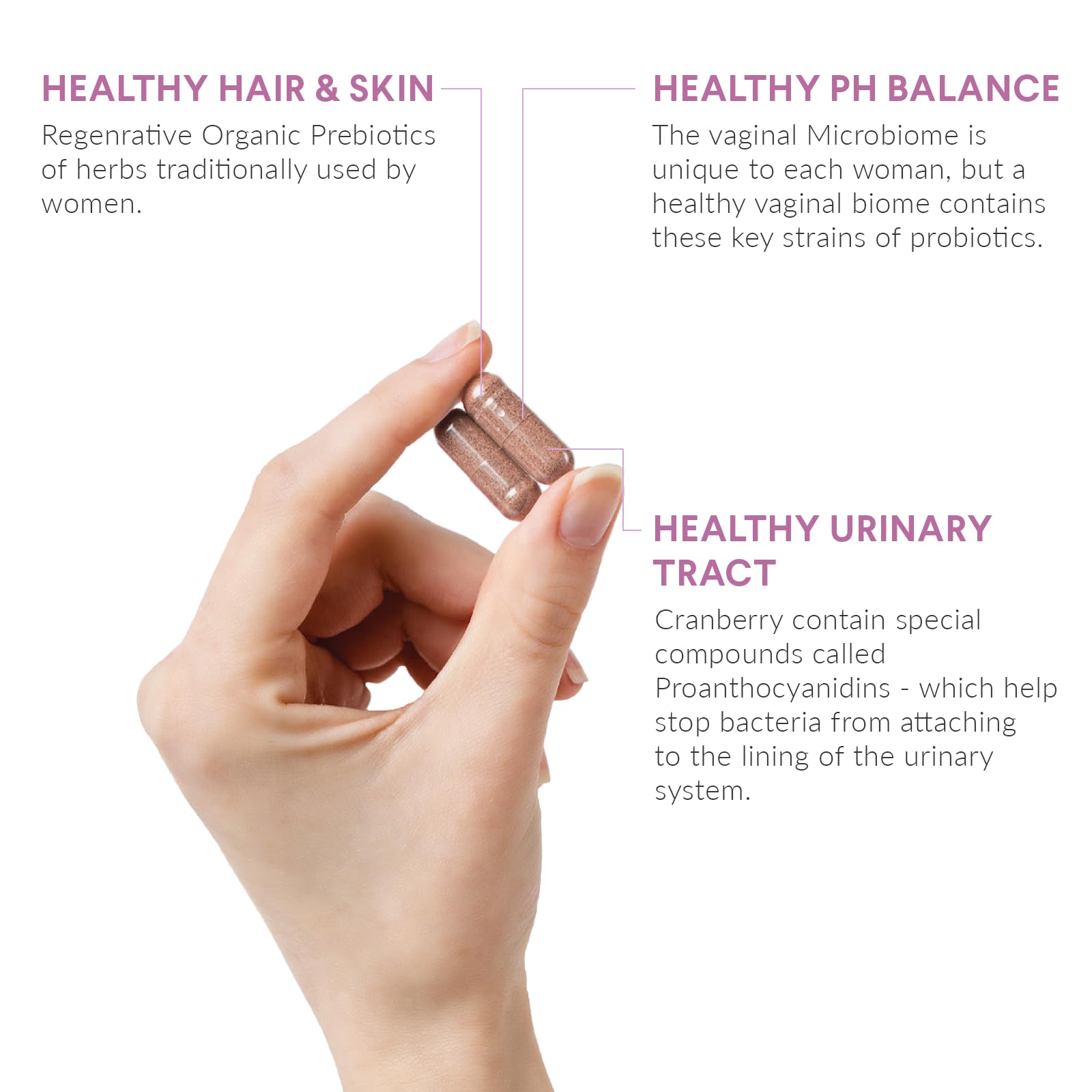 Organic prebiotic blend for gut health illustration