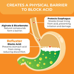 Nutritist Refluxter capsules ready for after-meal use to ease indigestion.