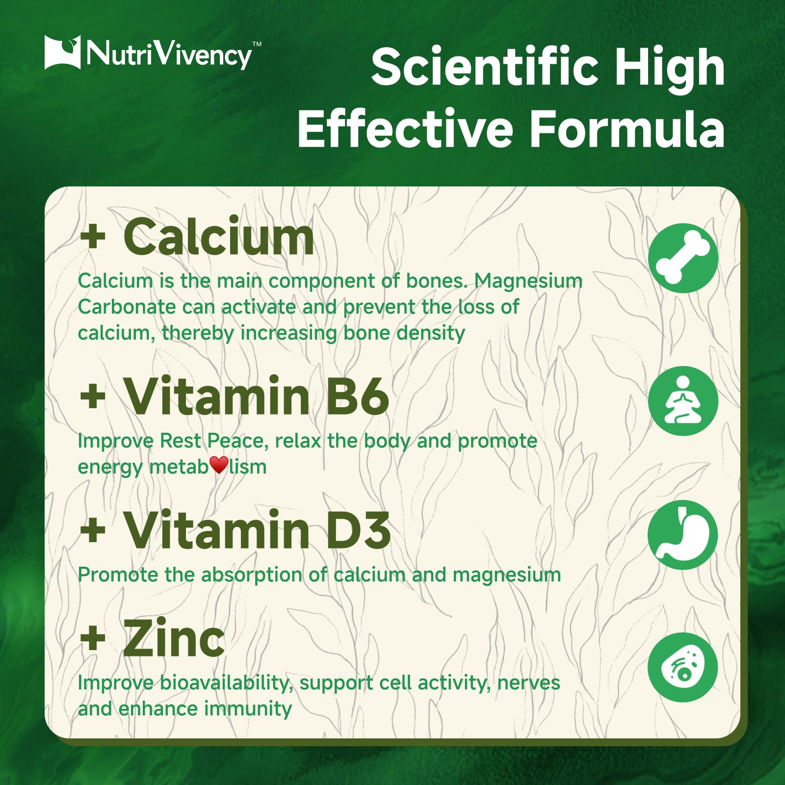 NutriVivency ingredient icons for magnesium calcium vitamins and zinc to show combined support